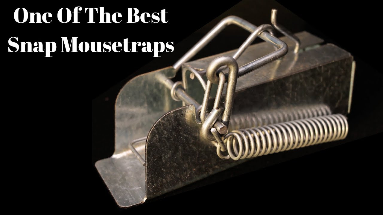 The Mini Ouell Mousetrap From Canada. One Of the Best Snap Traps I Have Ever Tested.