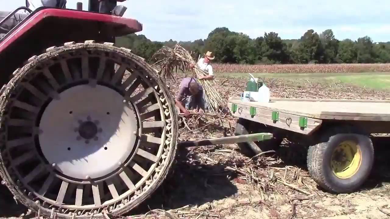 Making Sorghum in Kentucky: Start to Finish