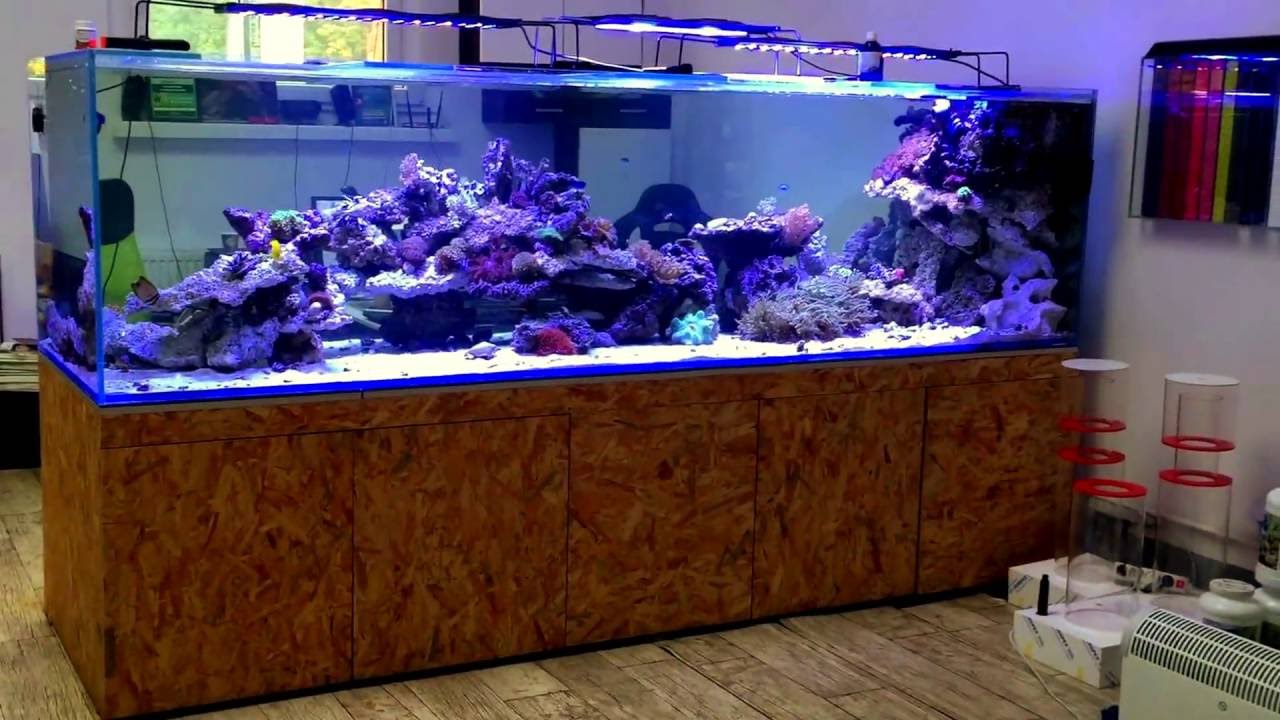 Akwarium Morskie 4000 litrów obiegu z filtracją Argus Aquarium Design&Garden 695807066