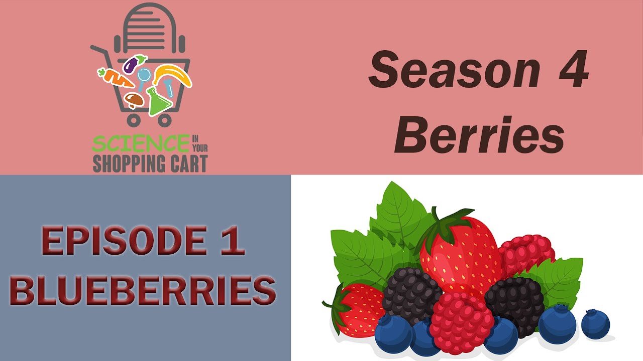 Science in your Shopping Cart | Season 4: Berries || Episode 1: Blueberries