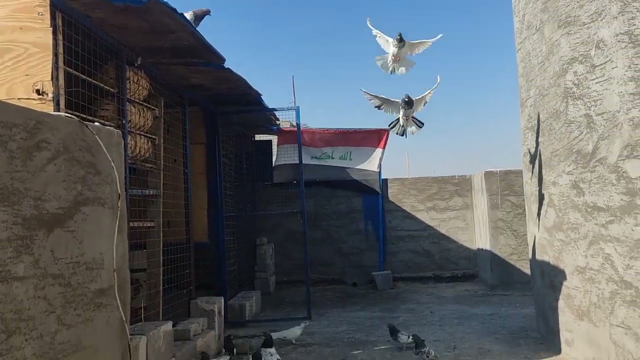 متابعيني شاهد الفيديو للاخير بي   فقرات حلوه 🫵