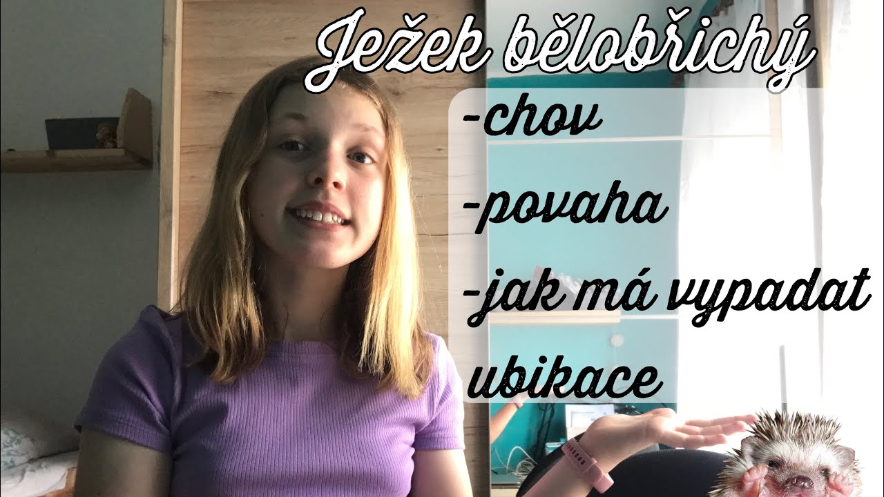 Rady a tipy o chovu ježka 2!