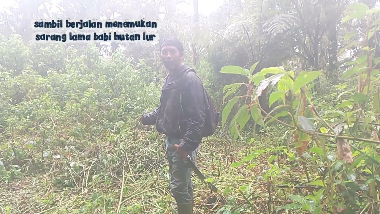 Menyusuri hutan gunung Slamet ,,, nyasar ke jalan pengeboran , dan ini kondisi jalannya sekarang ,,,