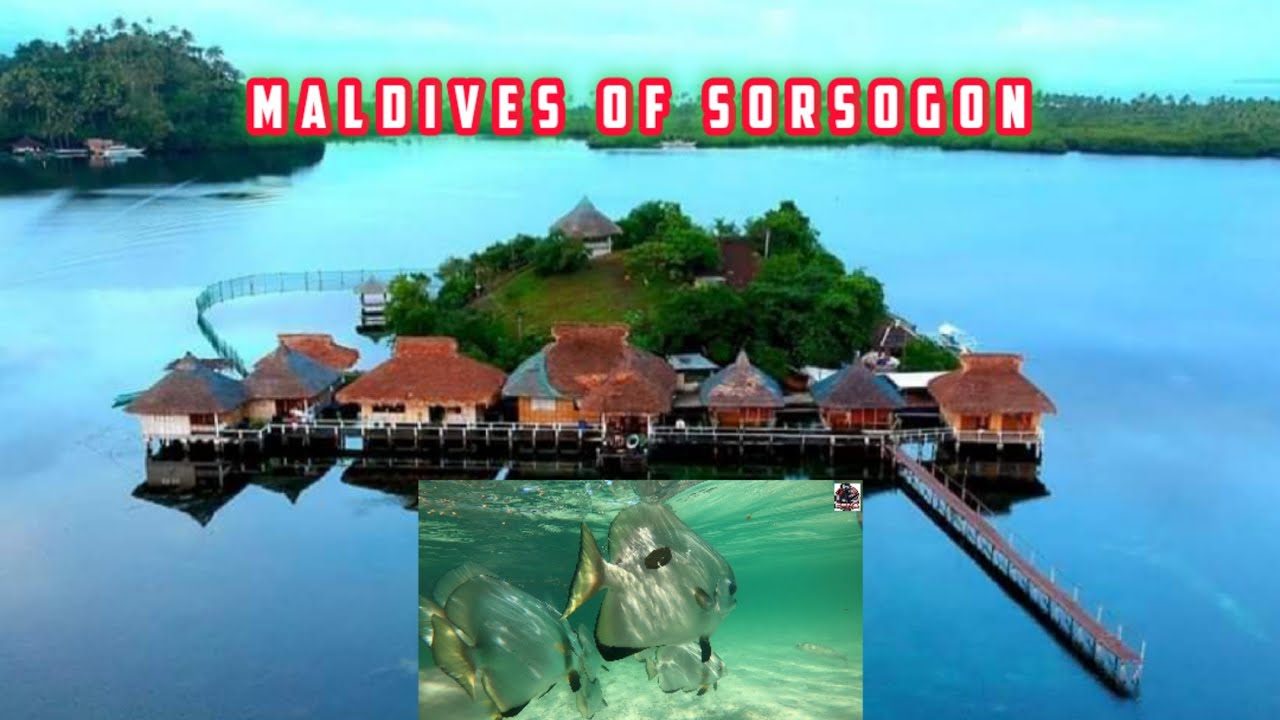 MALDIVES OF SORSOGON Bicol part1 | Isla de blas | fish sanctuary | cenamotovlog