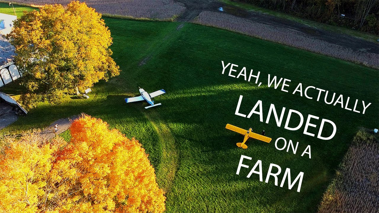 GRASS Landing in a Cherokee Six!
