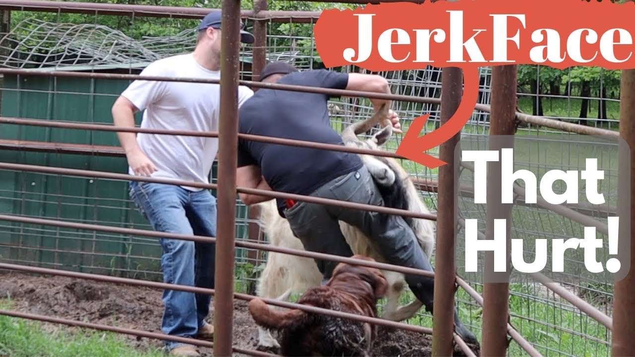 Jerkface Tried to Take Me OUT!