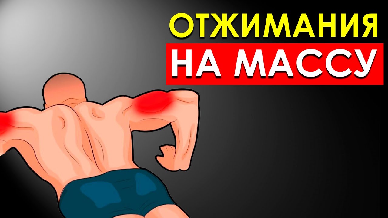 Сколько Нужно Отжиматься в День, Чтобы Набрать Мышечную Массу?