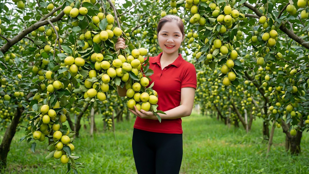 TIMELAPSE - Harvesting 1000+ Unique Wild Apples, Go to Market Sell - Take Care Ducks, Piglet
