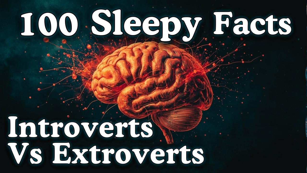 Introverts VS Extroverts &mdash; Facts to Fall Asleep To &mdash; No Adverts