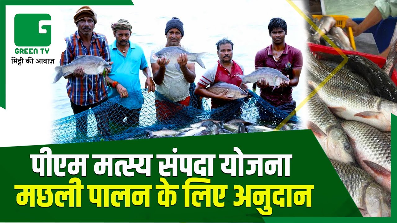 Pradhan Mantri Matsya Sampada Yojana (प्रधानमंत्री मत्स्य संपदा योजना) विस्तार से In Hindi