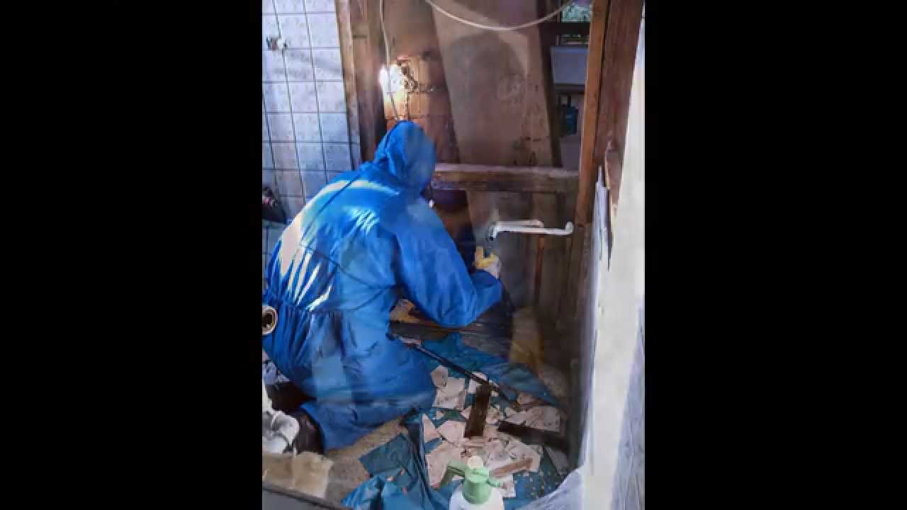 Asbestsanierung an einer Brandschutzverkleidung in einer K&uuml;che.