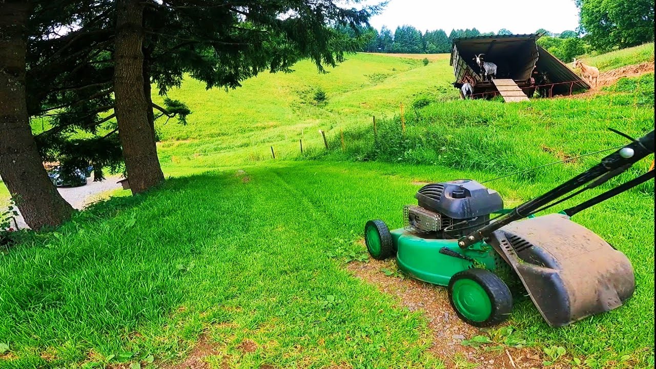 Mowing with a BRIGGS & STRATTON 550 SERIES 158cc | Time lapse mowing overgrown