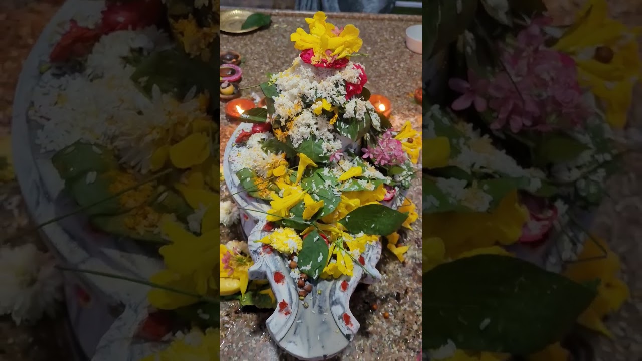 Today puja Har Mahadev shambo shankara 🙏 🙏🙏🙏🙏#shivapuja #pooja #short #shortvideo