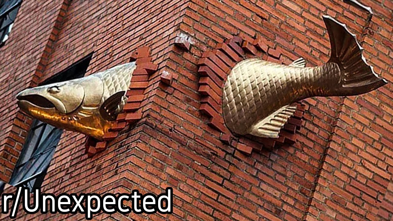 r/Unexpected | Not sure how that got there...