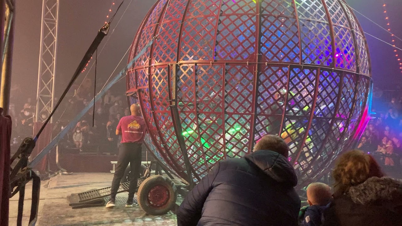 Circus zyair in Worcester