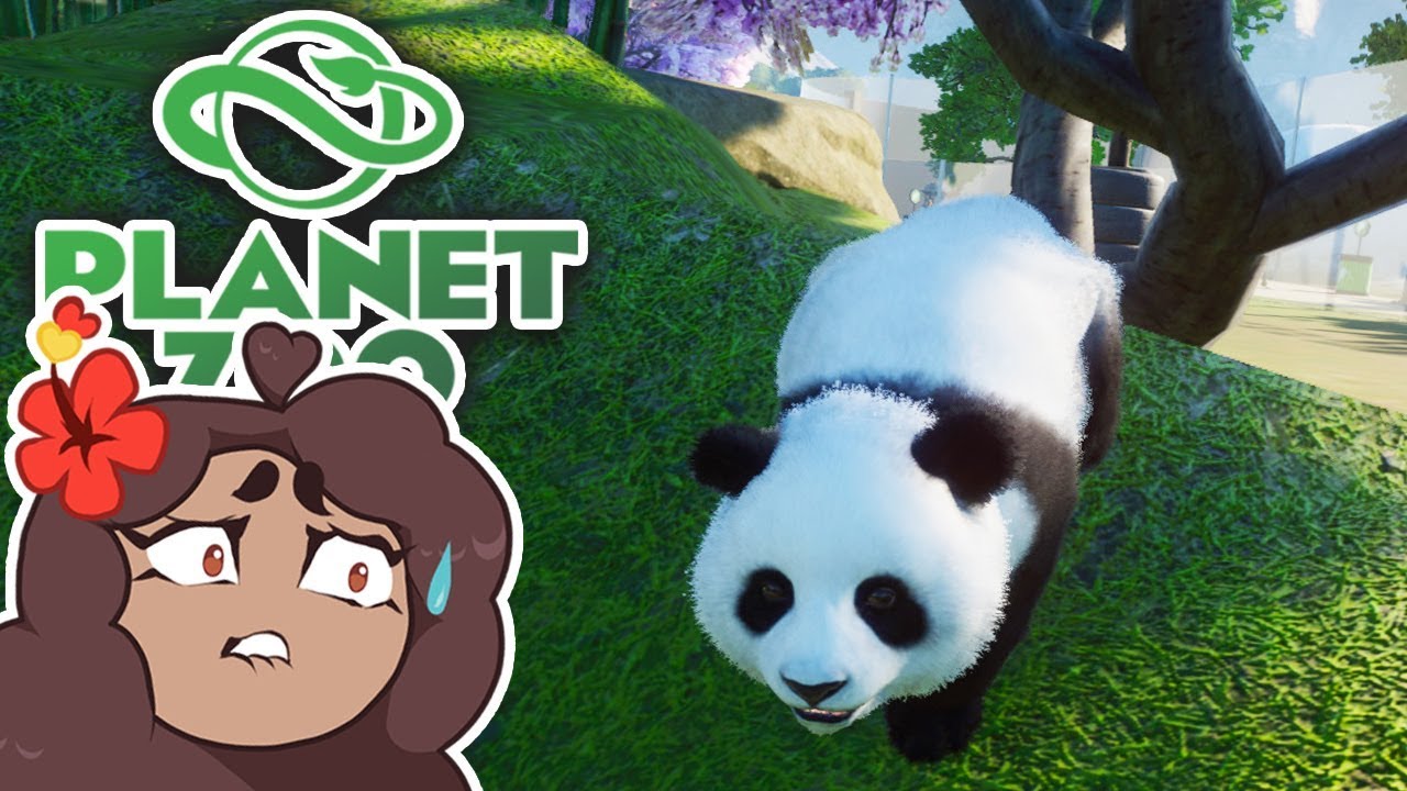 A Panda Legacy Left Behind...!! 🐼 Daily Planet Zoo! • Day 19