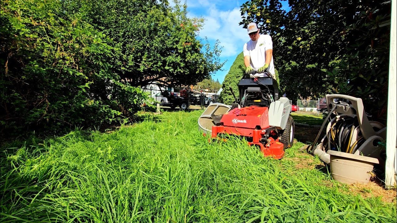 LAWN Guy Leaves ELDERLY Couple Without WARNING