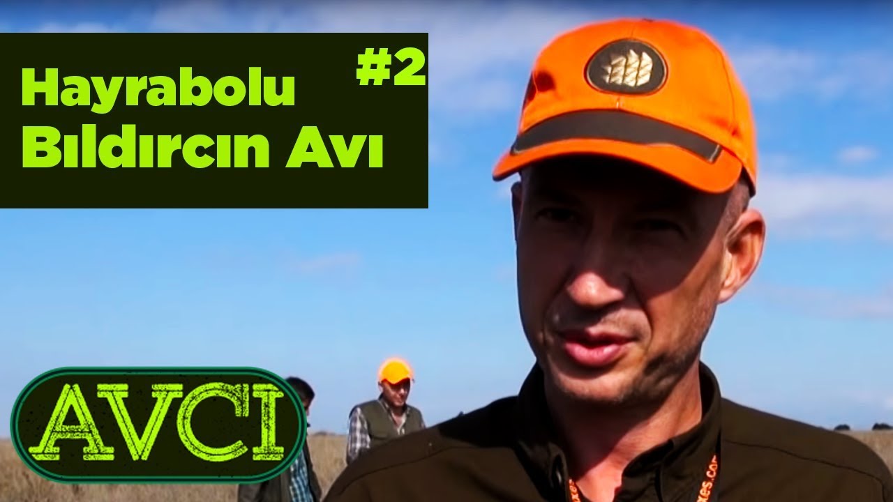 Hayrabolu Bıldırcın Avı 2 Avcı - Yaban Tv