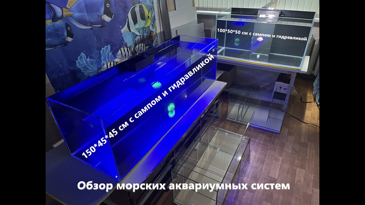 Морские аквариумы с сампами и гидравликой. Краткий обзор.