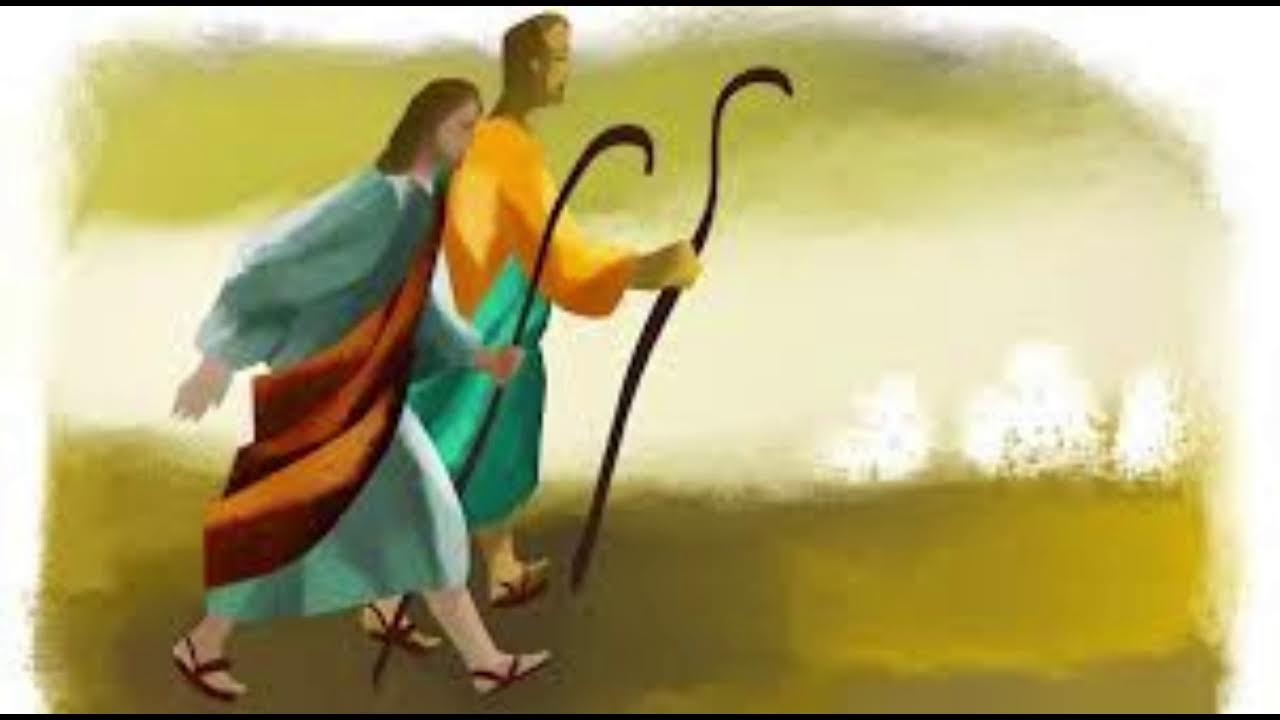 LA HORA DE LA MISERICORDIA  JUEVES 12  DE FEBRERO  2026