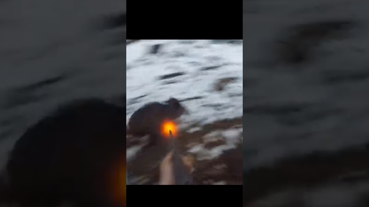 Puissant feu sur un sanglier à courte portée 