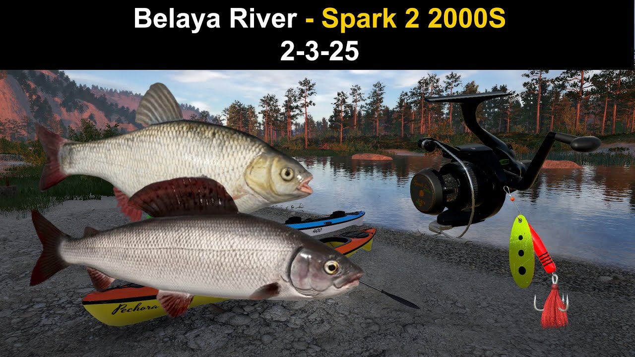 Russian Fishing 4, Belaya River - Spark 2 2000S 2-3-25