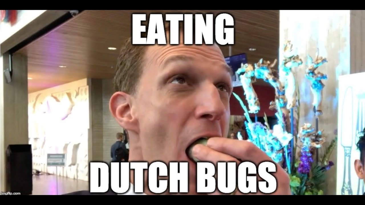 American Tries Eating Dutch Bugs | United States of Europe