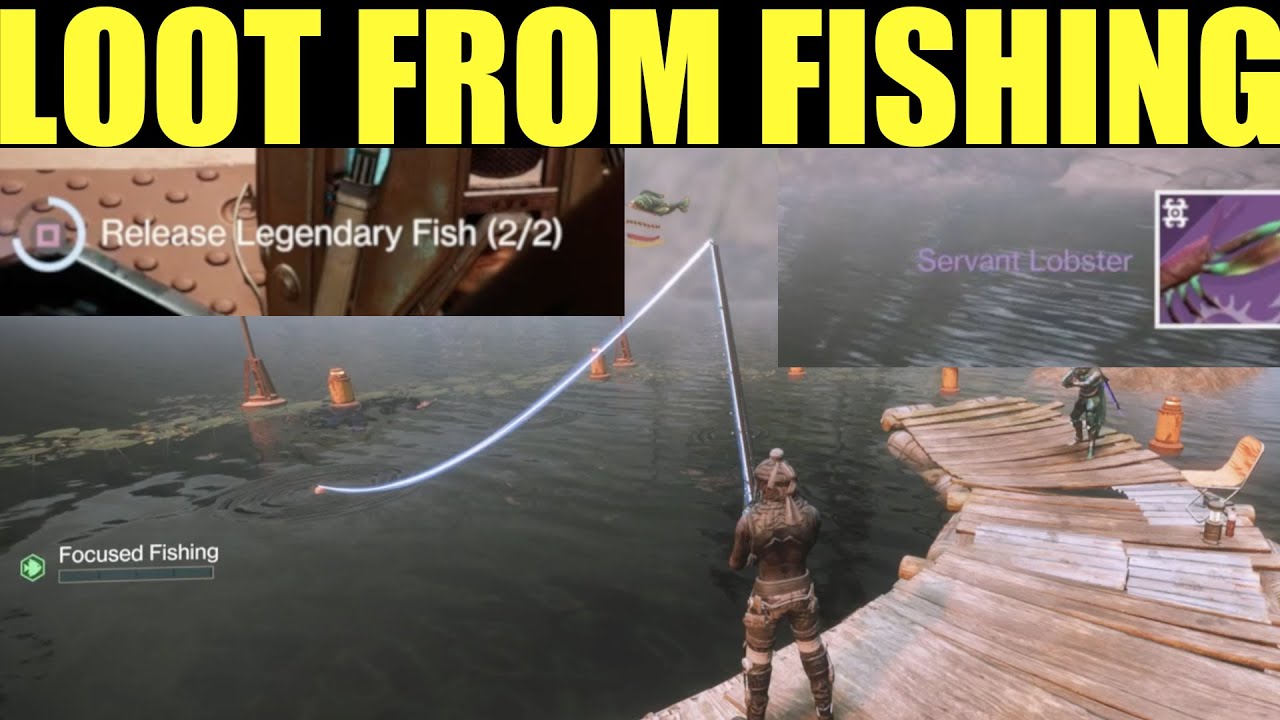 Loot from fishing in destiny 2 (what to do with the fish you catch)