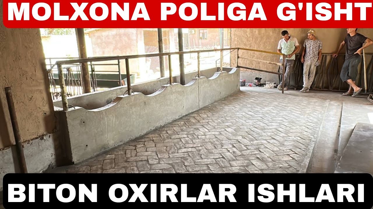 ZAMONAVIY MOLXONA QURISH RAZMERLARI
