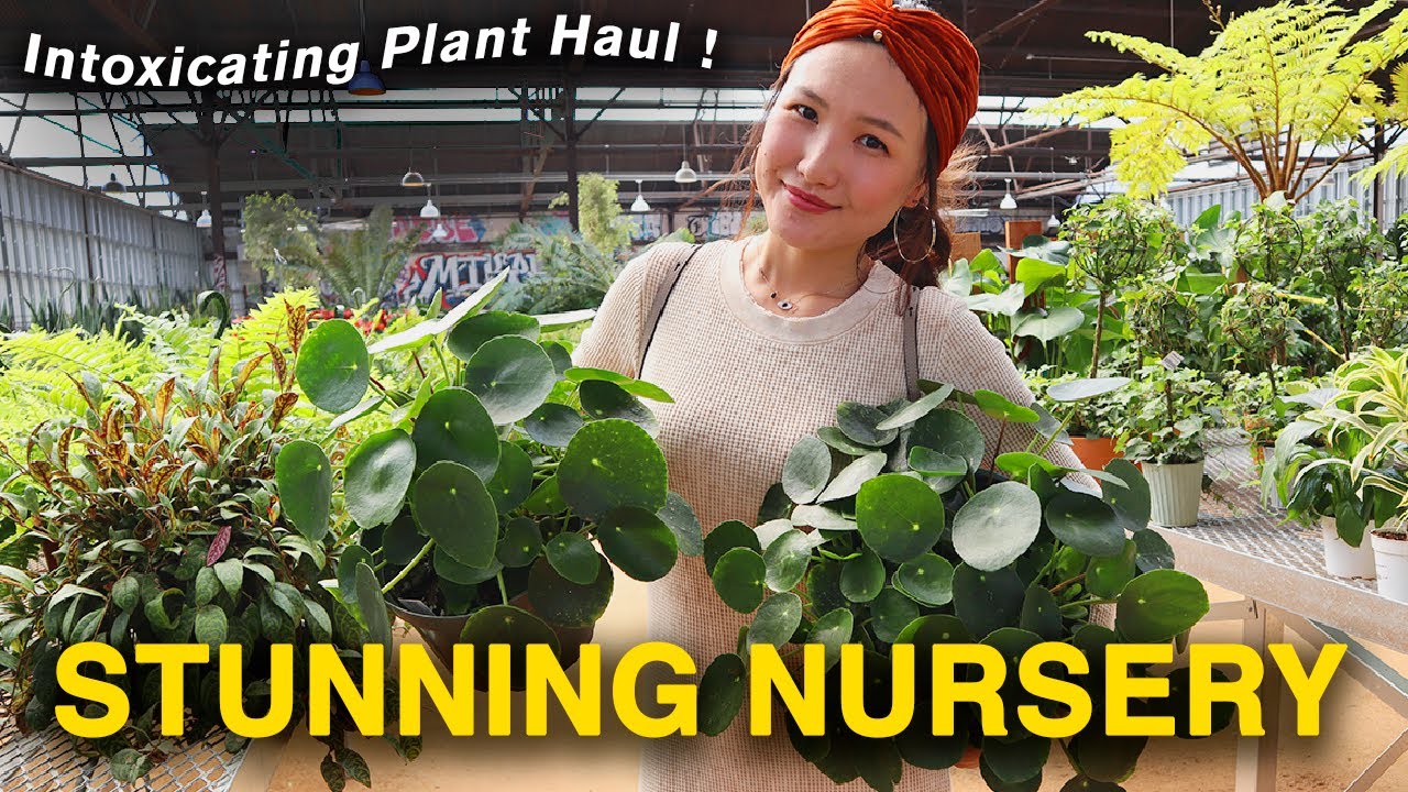 BREATHTAKING NURSERY TOUR & HOUSEPLANT HAUL | ROLLING GREENS |  Houseplant Collection