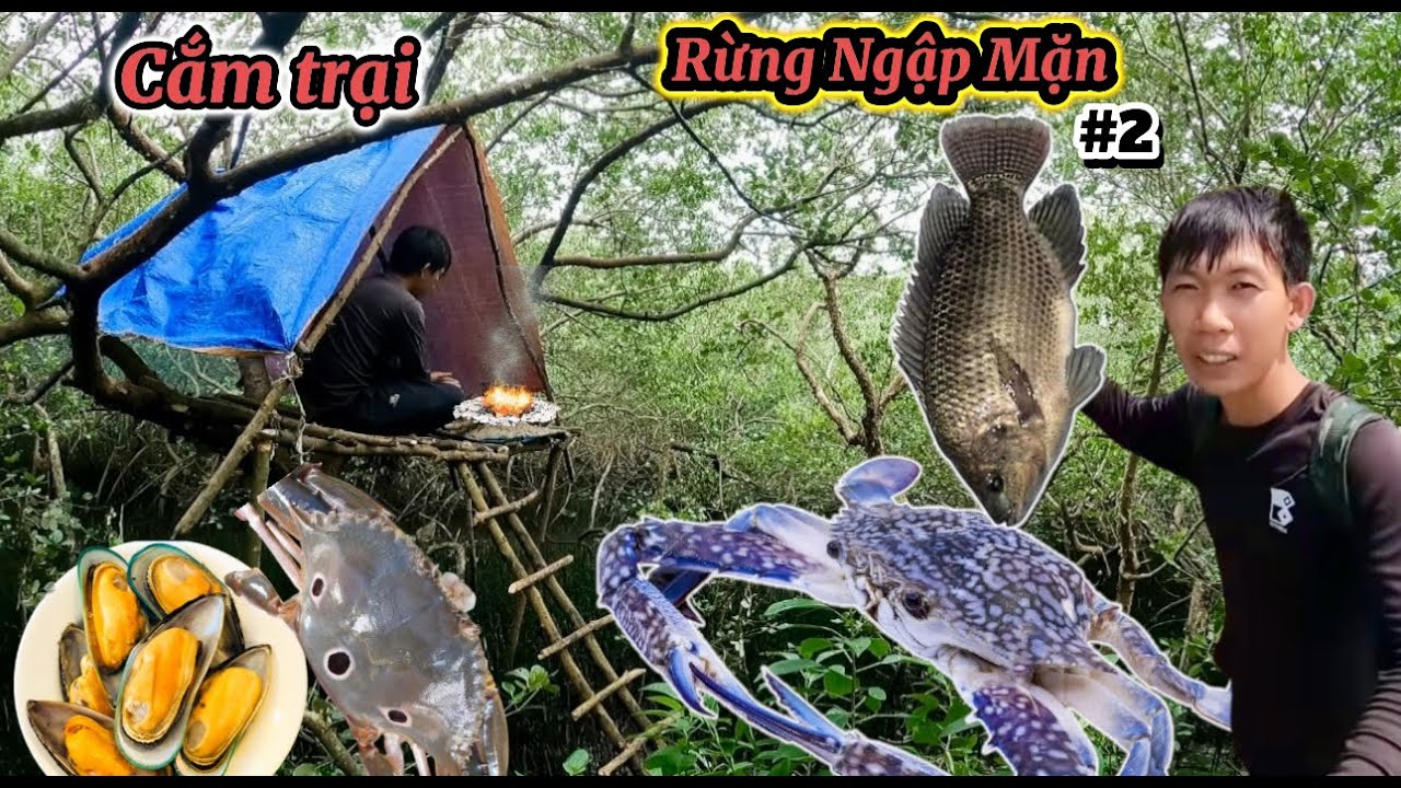 Cắm trại rừng ngập mặn,tự kiếm thức ăn phát hiện ổ ghẹ xanh,và nhiều hải sản quý hiếm | Camping…