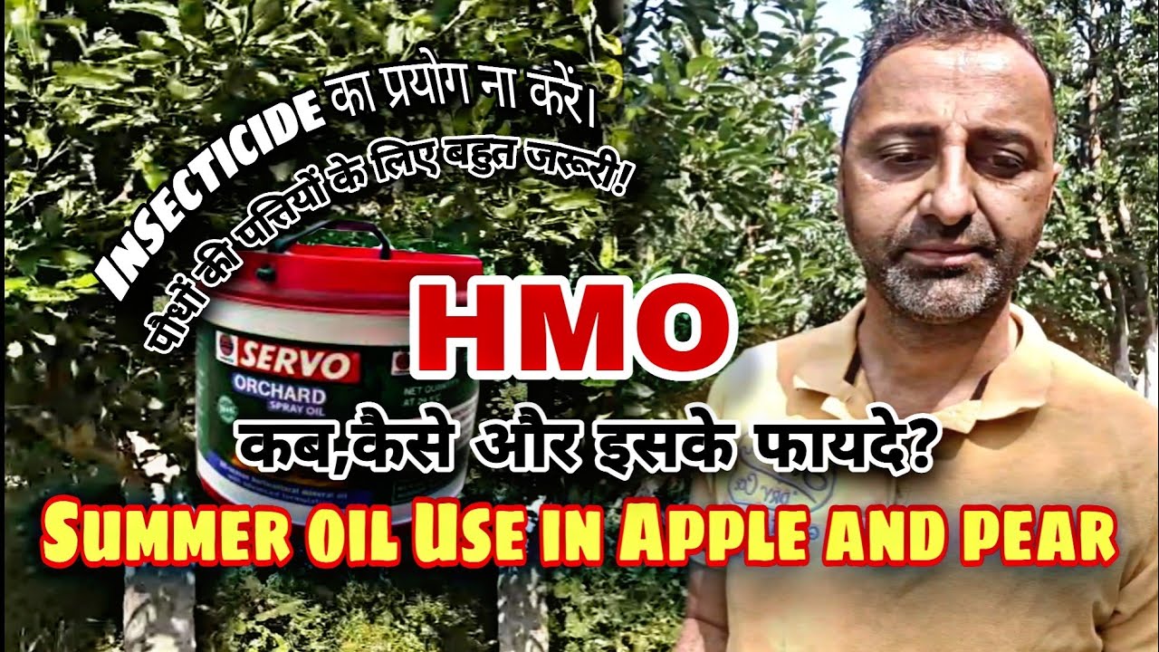 HMO Spray in Apple 🍎 and Pear 🍐 trees in May or June, Summer oil का छिड़काब for insect control,