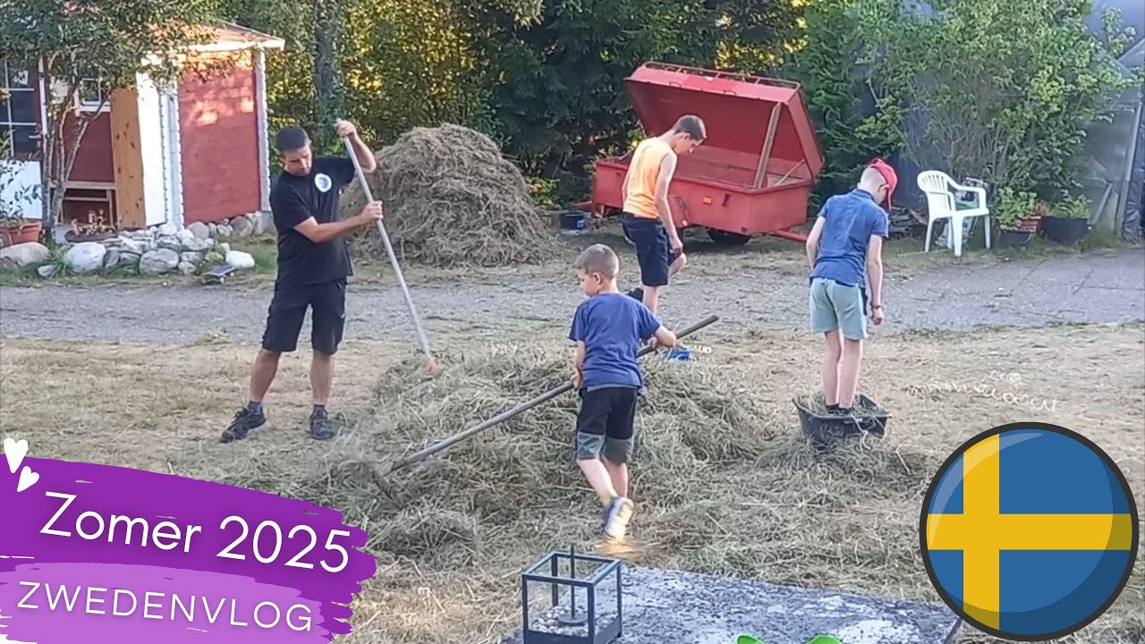 Zomer 2025 in Zweden | We hebben een hele drukke zomer gehad en hier is een korte recap