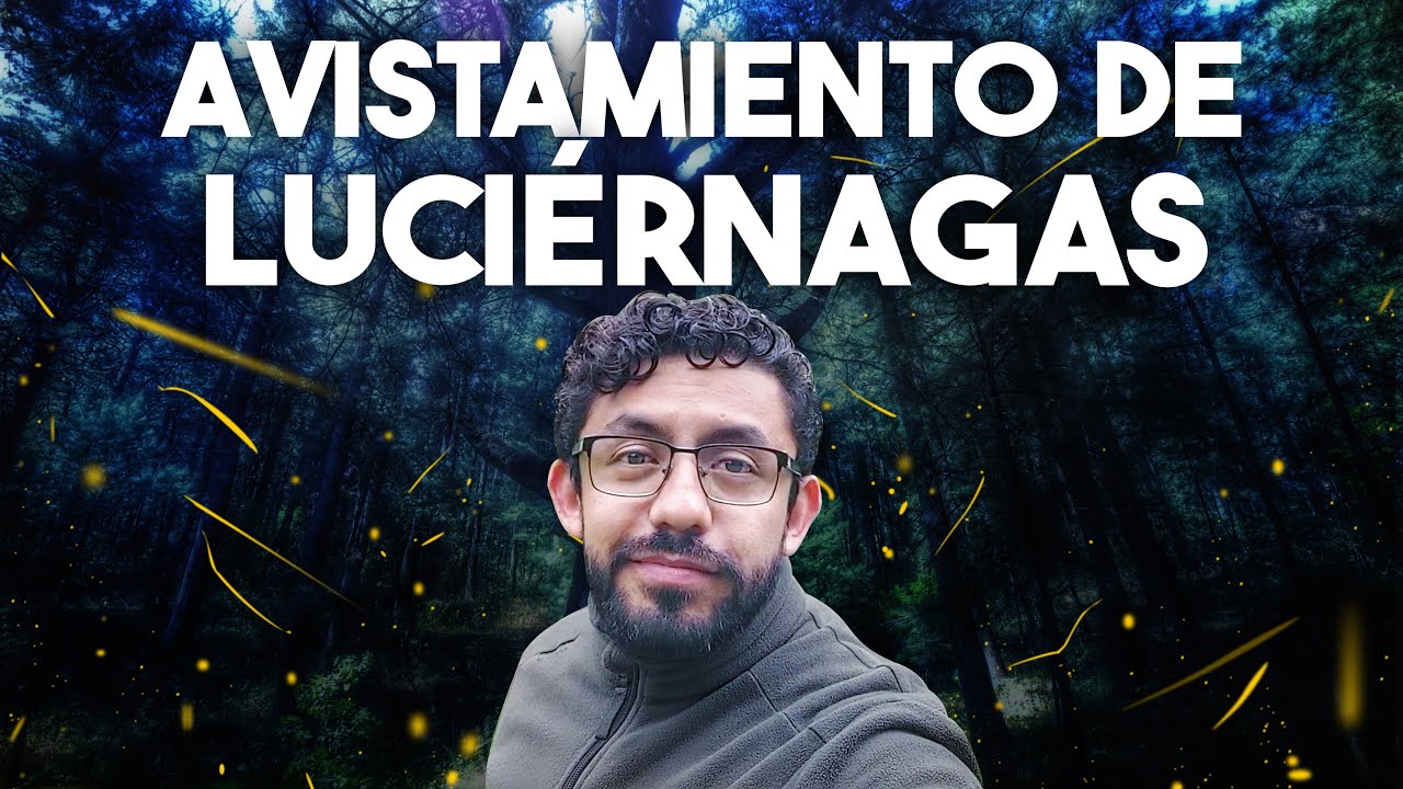 Avistamiento de luciérnagas / San Andrés Hueyacatitla / Parque Ekoocay