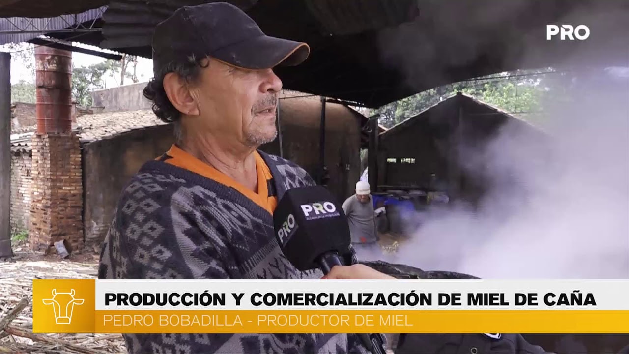 Producci&oacute;n y comercializaci&oacute;n de miel de ca&ntilde;a