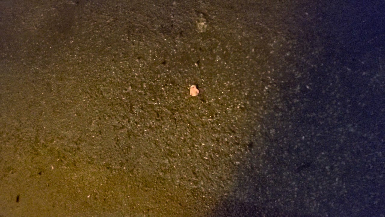 ASMR - Walking in high heeled boots on gravel