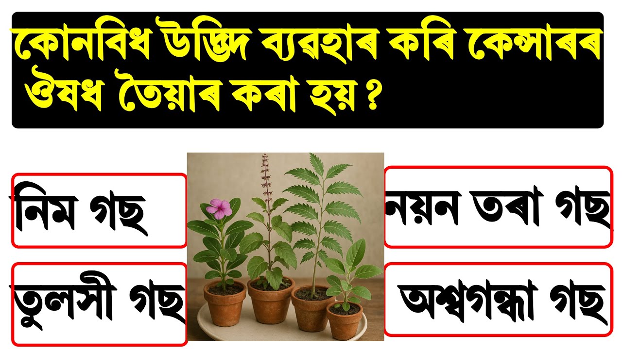 assam geography for competitive exams | assam history gk question and answer | assam geography for