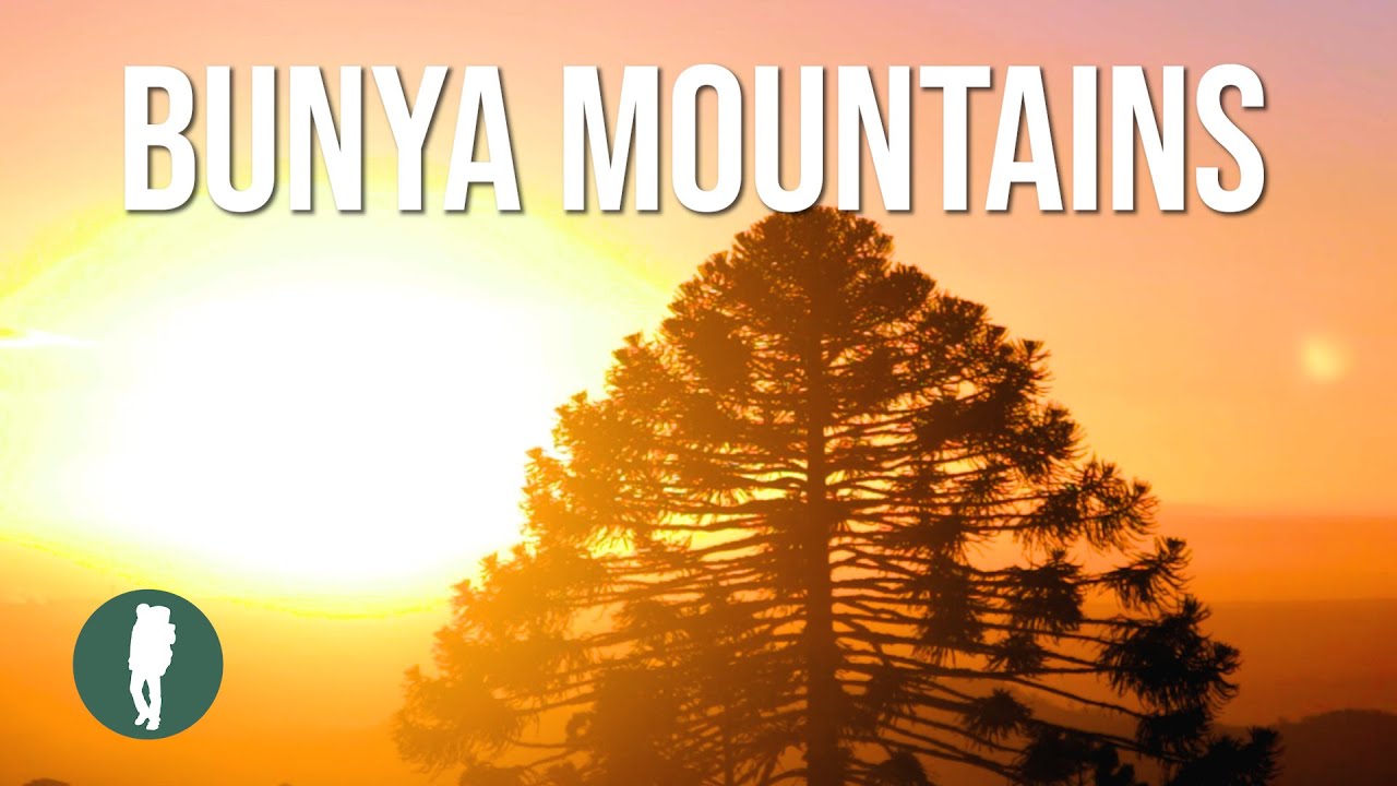 Bunya Mountains in HD