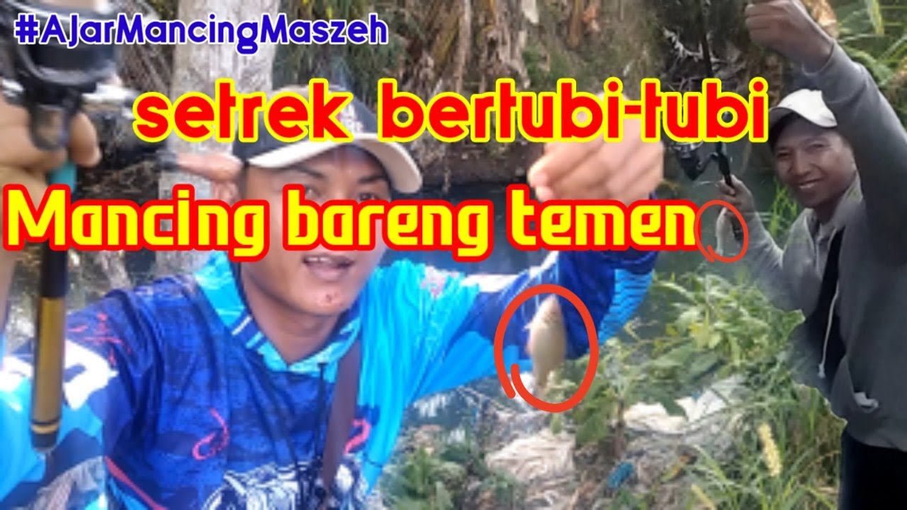 MANCING STREK BERTUBI TUBI