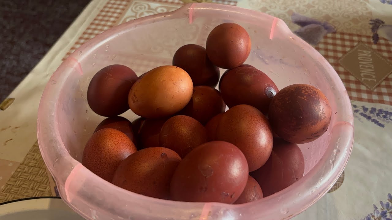 კვერცხი შევღებეთ / We dyed eggs. ❤️