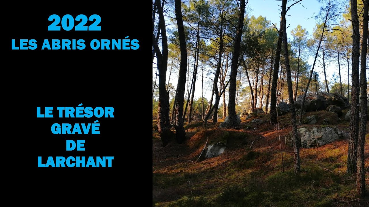 Les abris ornés de Seine-et-Marne : le trésor gravé de Larchant