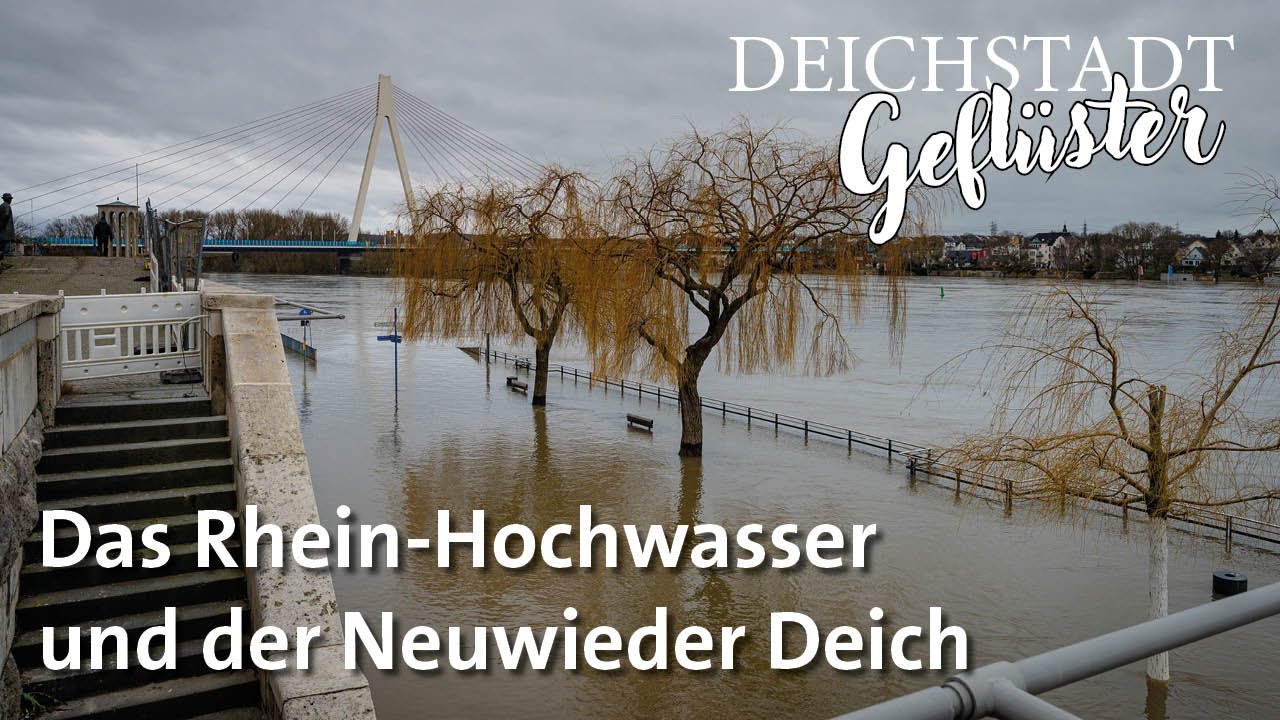 Deichstadtgeflüster | Hochwasser am Rhein in Neuwied Dezember 2023
