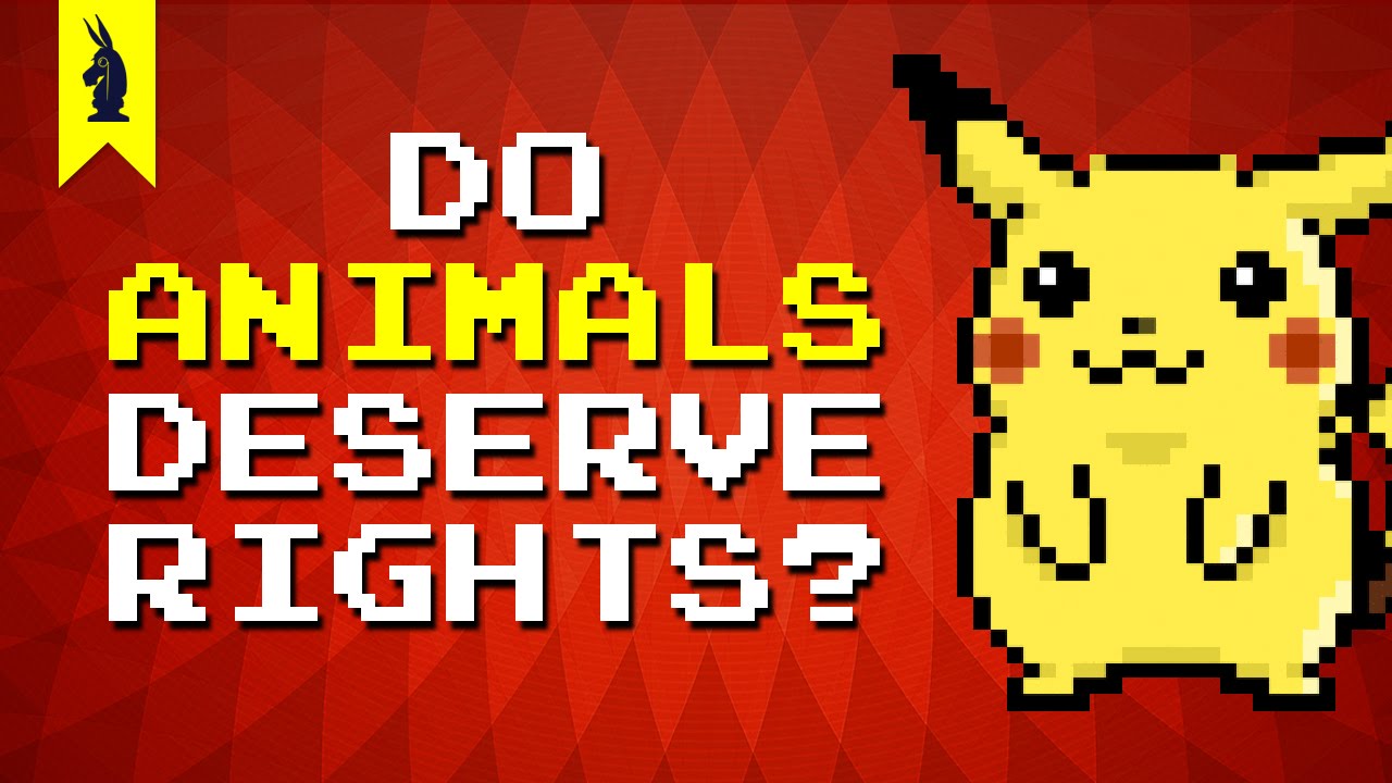 Should Animals Have Human Rights? (Pok&eacute;mon + Speciesism) - 8-Bit Philosophy