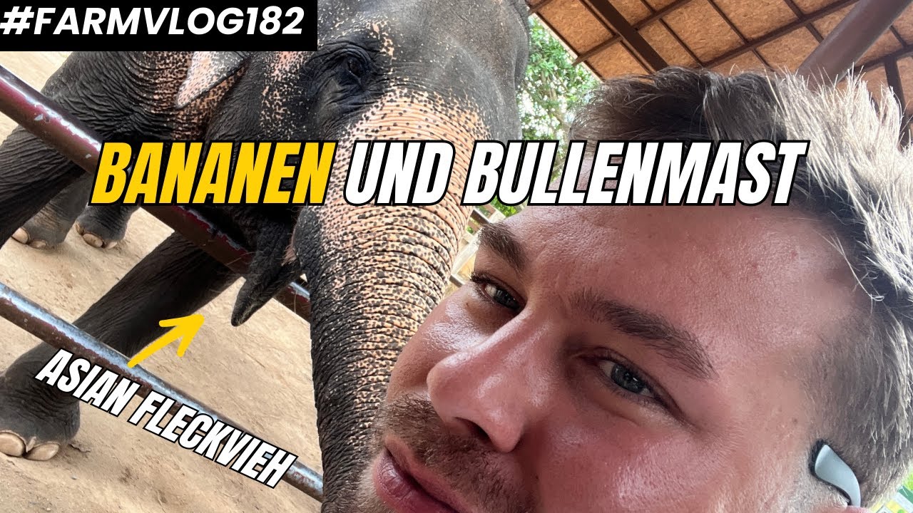 Ich werde jetzt Bananenbauer FARMVLOG #182