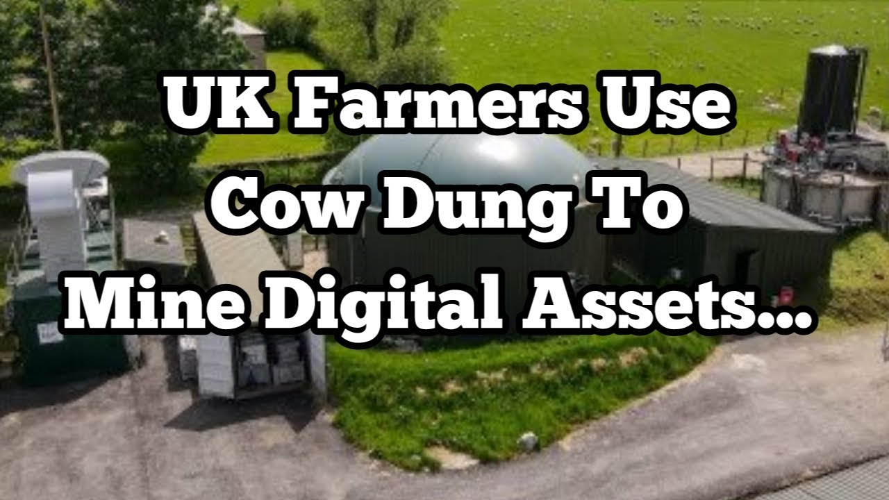 UK Farmers Use Cow Dung To Mine Digital Assets...