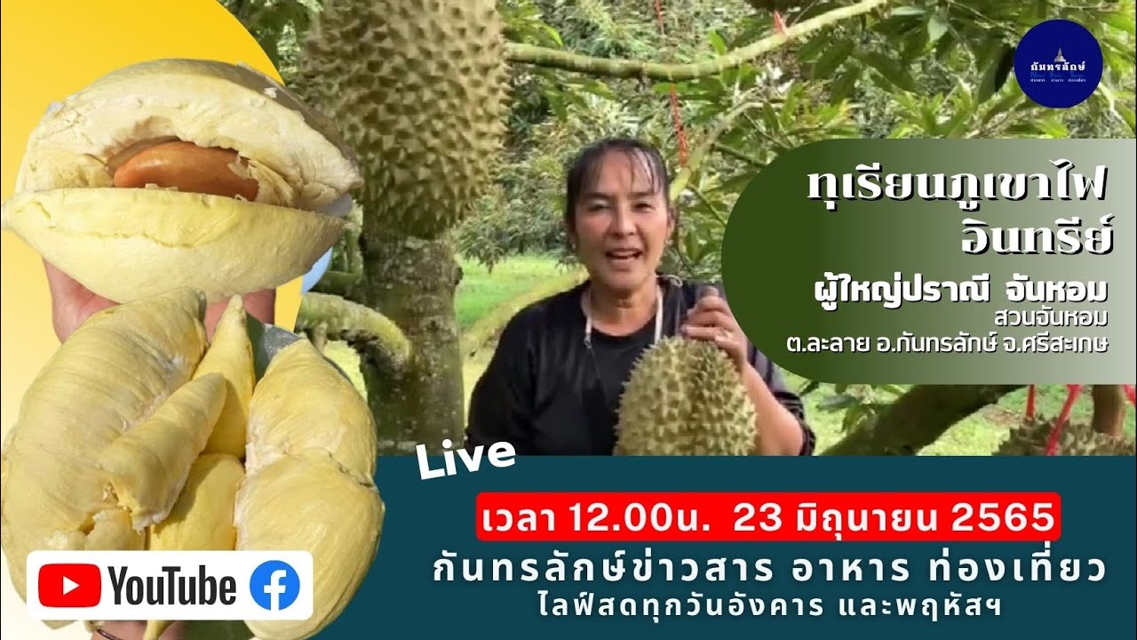#ทุเรียนอินทรีย์ไม่มีในโลก ? ฟังผู้ใหญ่ปราณี  @สวนจันหอม เกษตรอินทรีย์  ทุเรียนภูเขาไฟ อ.กันทรลักษ์