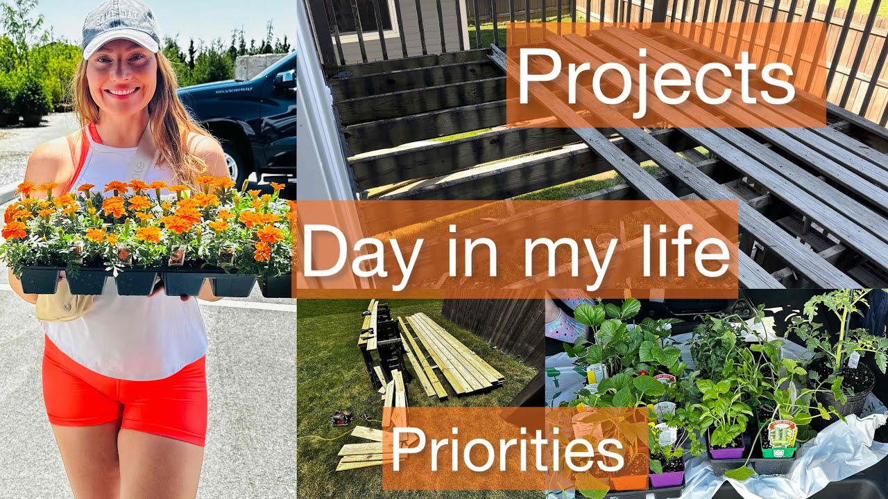 A Day In My Life/ Projects/ Priorities