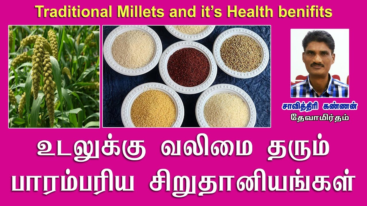 உடலுக்கு வலிமை தரும் சிறுதானியங்கள் | Millets for healthy life (siru thaniyangal), Savithiri Kannan