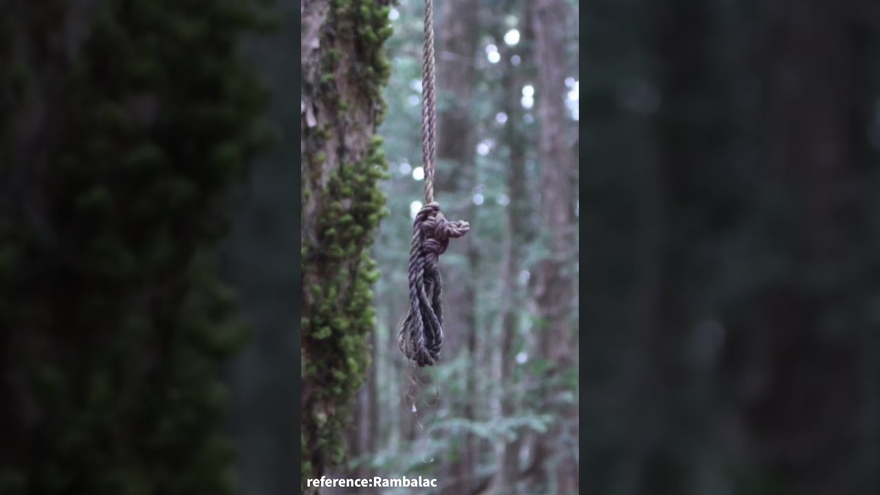 Aokigahara: Japan&rsquo;s Forbidden Suicide Forest