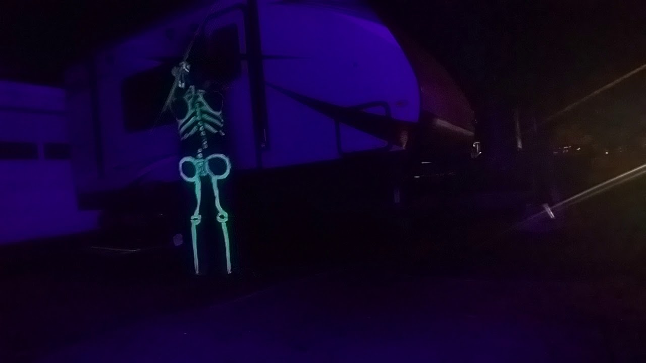 Skeletal misogi no jo